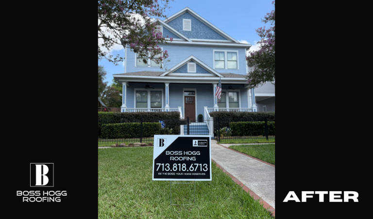 Houston Heights 10