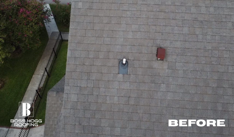 Houston Heights 2