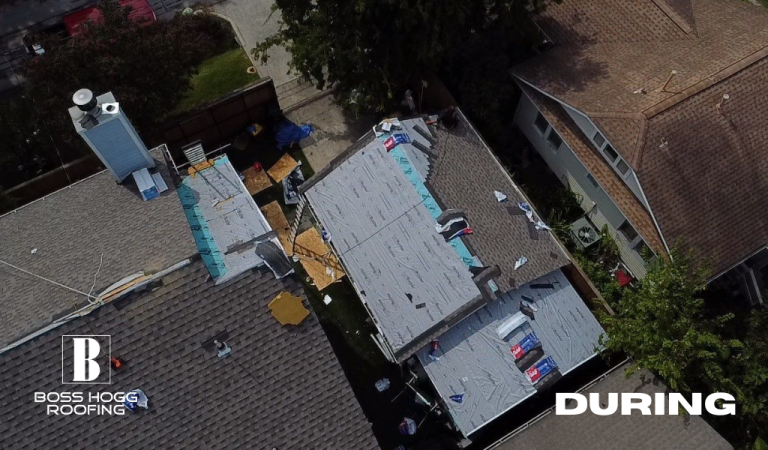 Houston Heights 6
