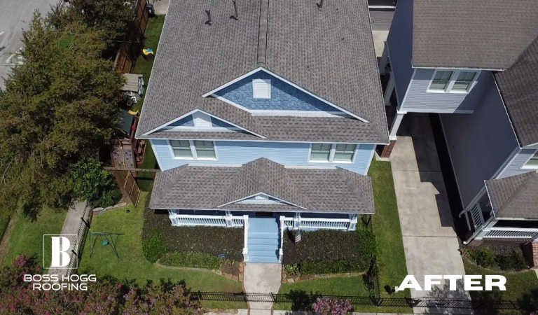 Houston Heights 8