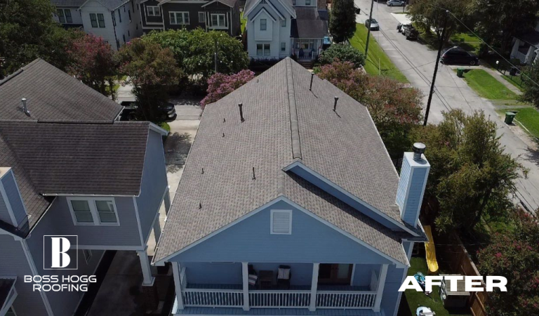 Houston Heights 9