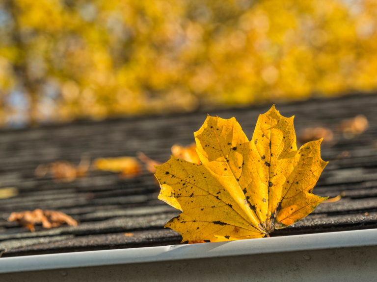 Clearing away leaves and debris is a good way to protect your roof in the autumn.